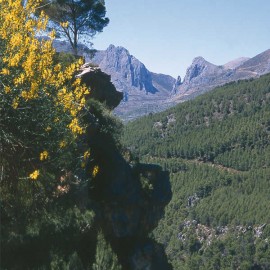 La Axarquía
