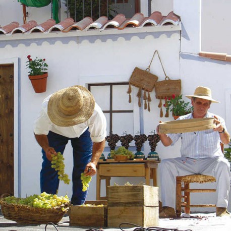 La Axarquía
