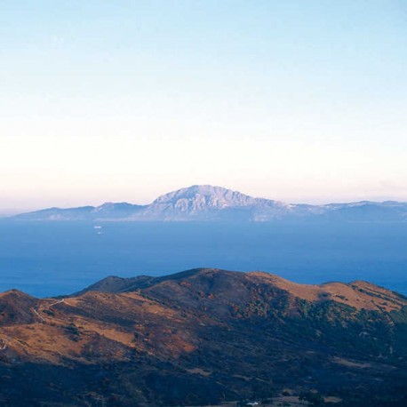 Campo de Gibraltar