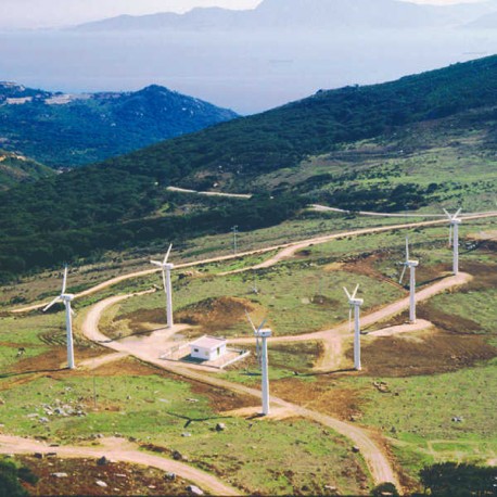 Campo de Gibraltar