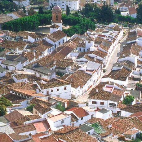 Campo de Gibraltar