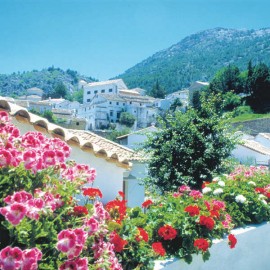 Provincia de Cádiz 2