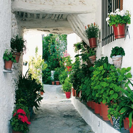 Provincia de Granada