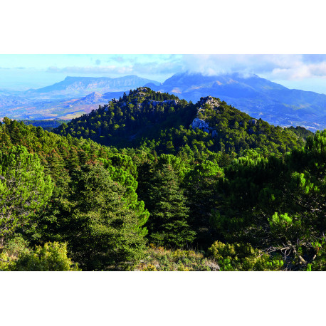 Serranía de Ronda