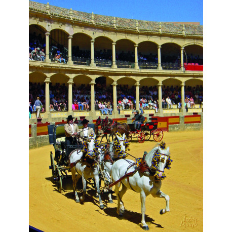 Serranía de Ronda