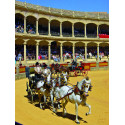 Serranía de Ronda