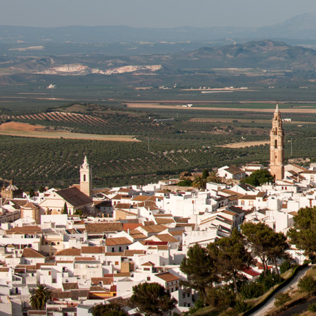 Ciudades Medias