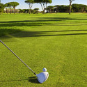Guía temática profesional de Golf