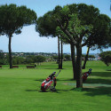 Guía temática profesional de Golf
