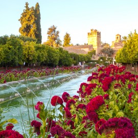 Córdoba 2