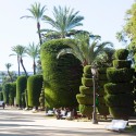 Cádiz