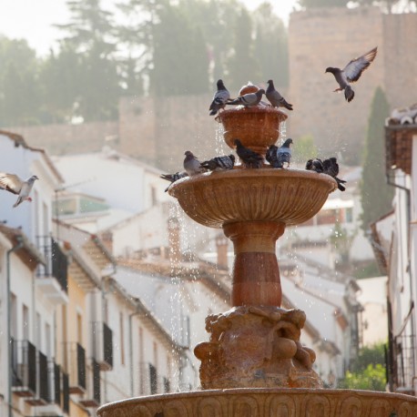 Antequera