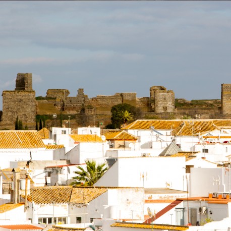 Carmona