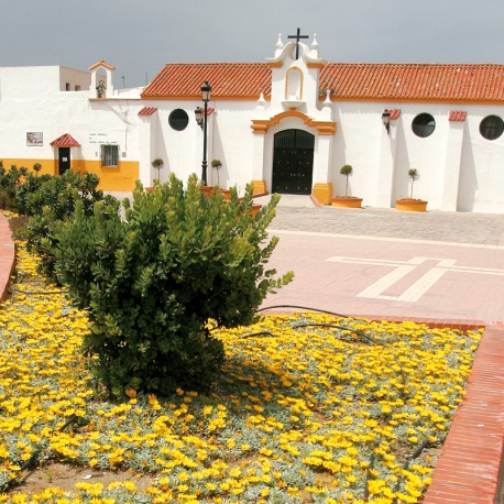 La Línea de la Concepción