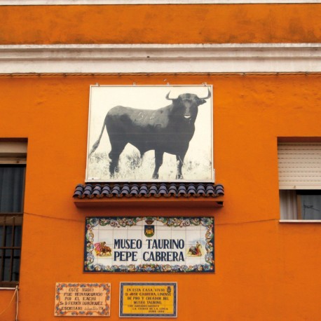 La Línea de la Concepción