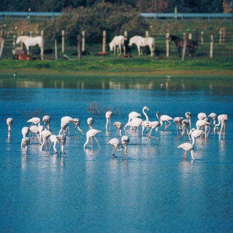 Costa de la Luz Huelva