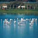 Costa de la Luz Huelva