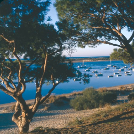 Costa de la Luz Huelva