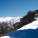 Andalucía Natural