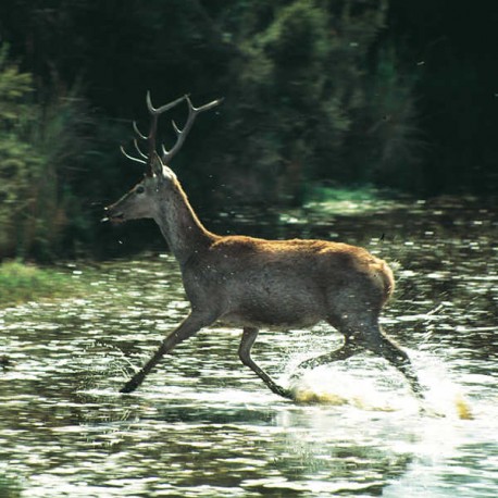 Andalucía Natural