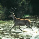 Andalucía Natural