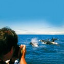Turismo de Cruceros