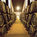 Wine Tourism