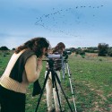 Bird-watching Tourism
