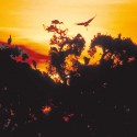 Bird-watching Tourism