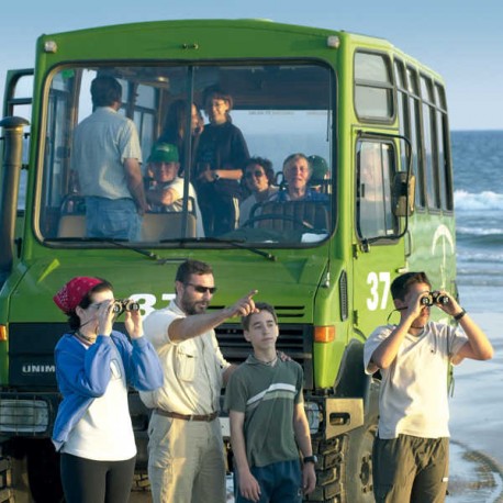 Bird-watching Tourism