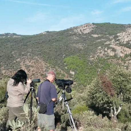Turismo de Interior y Naturaleza