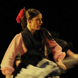 Flamenco 2
