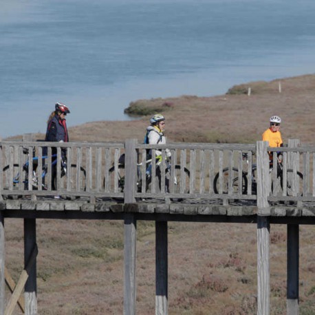 Cyclotourism Guidebook