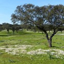 Itineraries in the Lower Guadiana