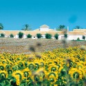 Guía de Andalucía