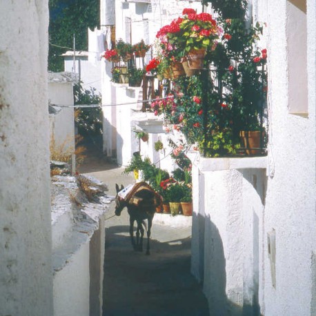 La Alpujarra